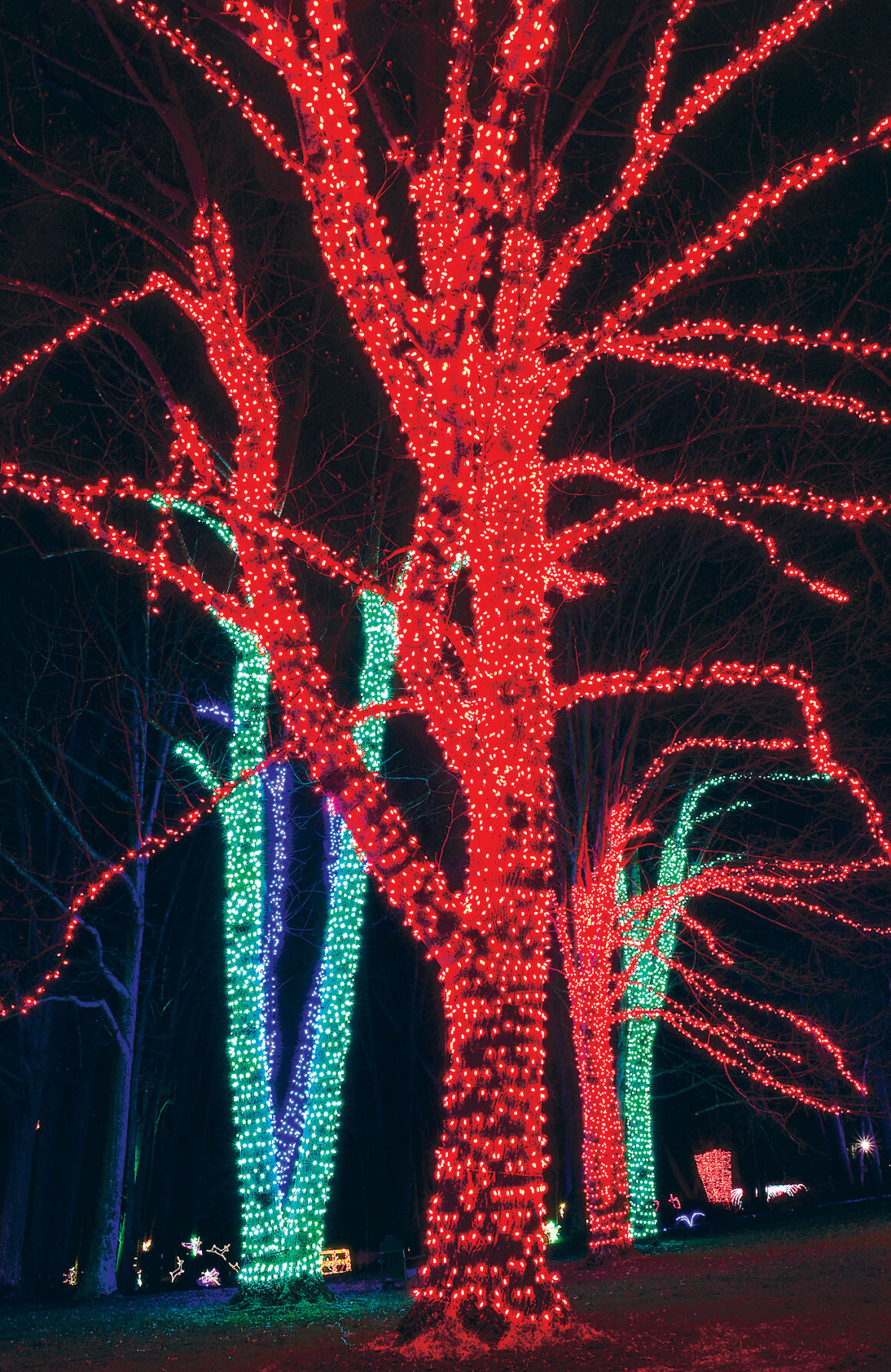 Winter Walk of Light 2020 4